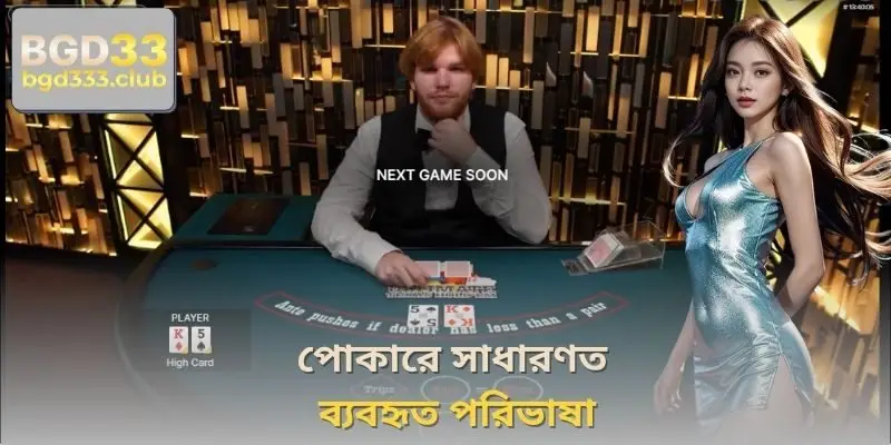 পোকারে সাধারণত ব্যবহৃত পরিভাষা