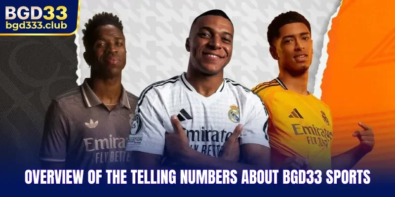 Overview of the telling numbers about BGD33 Sports
